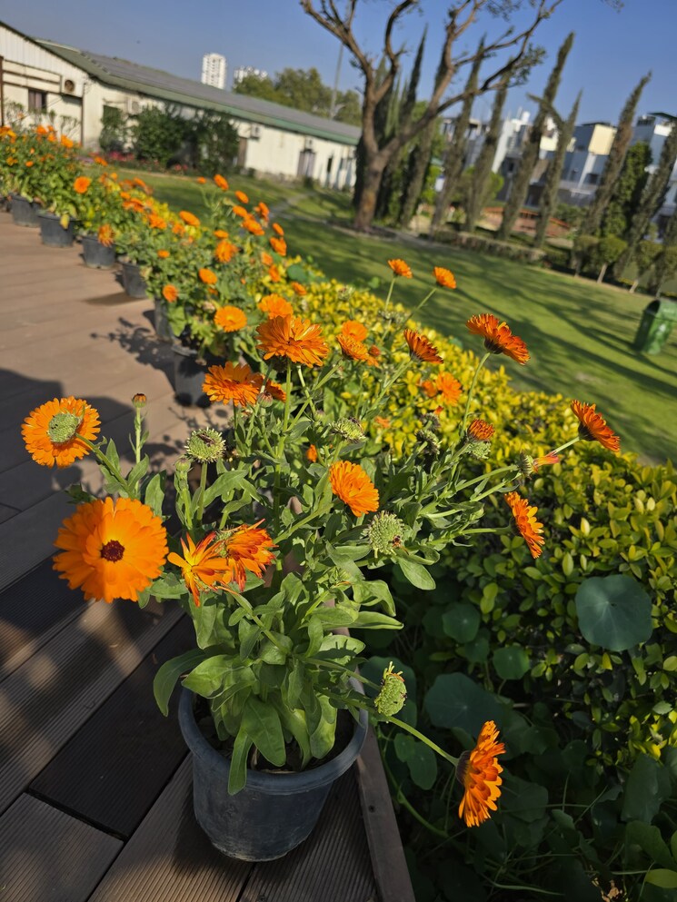 Garden, raj nagar extension 4 Bedroom 2675 Sq.Ft. Apartment In Raj Nagar Extension Ghaziabad 9024287