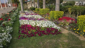 4 BHK Apartment – Garden View at Raj Nagar Extension - for Sale