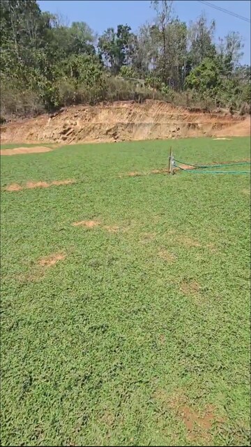  Land For Sale in Thrissur Road