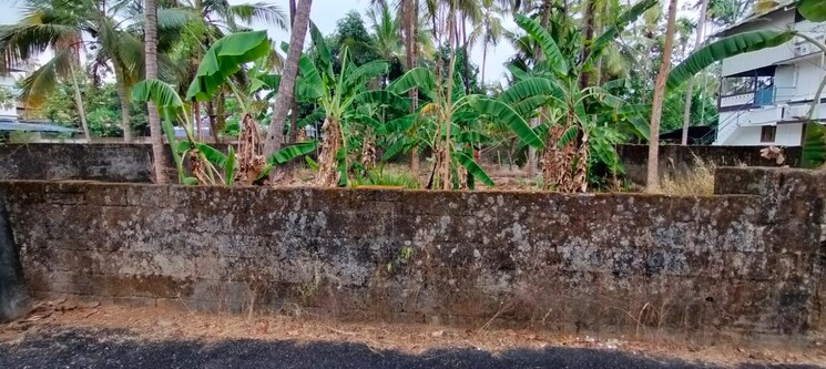 Garden, kalathode  4356 Sq.Ft. Plot In Kalathode Thrissur 9024489