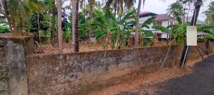 undefined, kalathode  4356 Sq.Ft. Plot In Kalathode Thrissur 9024489