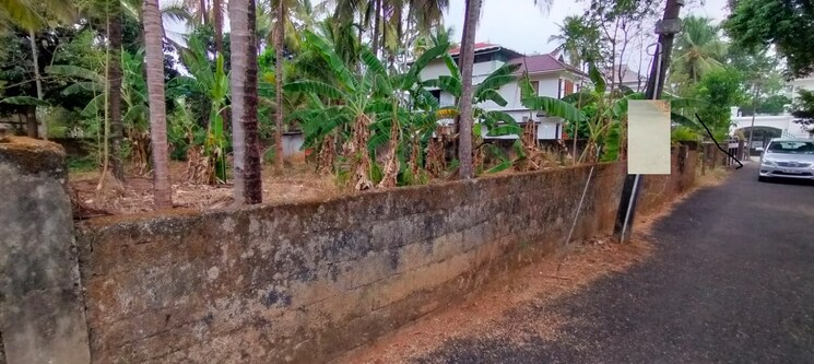 Balcony, kalathode  4356 Sq.Ft. Plot In Kalathode Thrissur 9024489