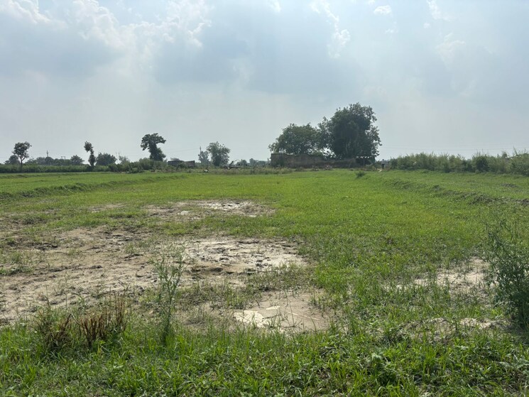 undefined, dalelpur village  450 Sq.Ft. Plot In Dalelpur Village Noida 9024633