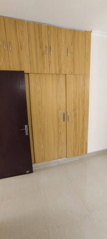 Room in 3 BHK Apartment at Amrapali Crystal Homes, Sector 76 – for Rent