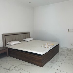 5 BHK Independent House For Sale in Dlf Phase ii