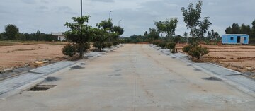 Plot Area in  Plot at Chikka Tirupathi – for Sale
