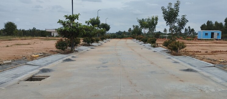 undefined, chikka tirupathi  1500 Sq.Ft. Plot In Chikka Tirupathi Bangalore 9024892