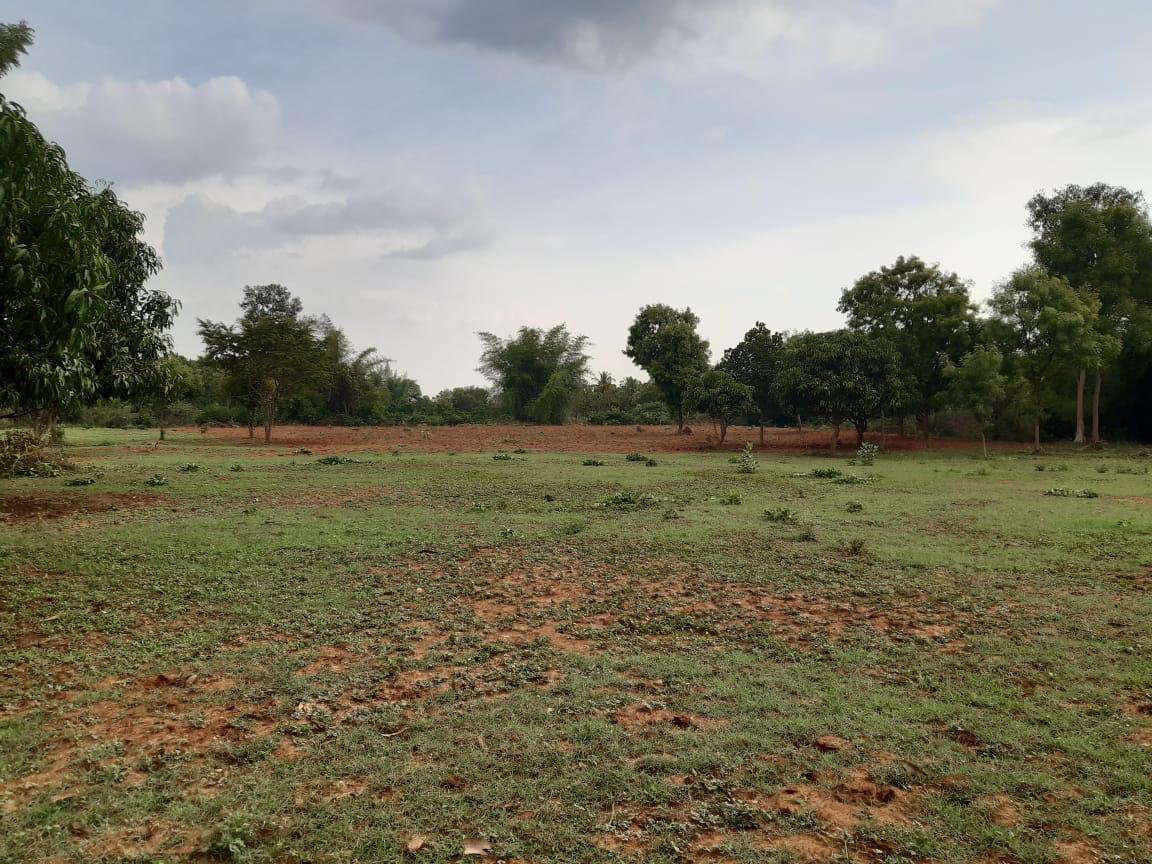 Plot For Sale in O W Ananth Site 