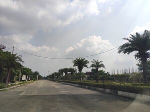  Plot – Exterior View View at Omaxe Metro City, Kalli Paschim - for Sale