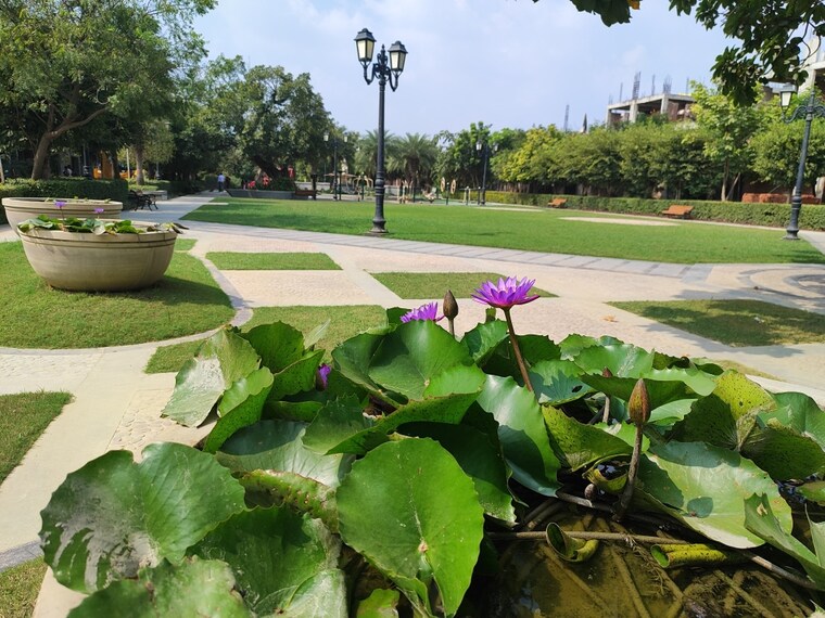 Garden, omaxe-metro-city  1215 Sq.Ft. Plot In Kalli Paschim Lucknow 9025258