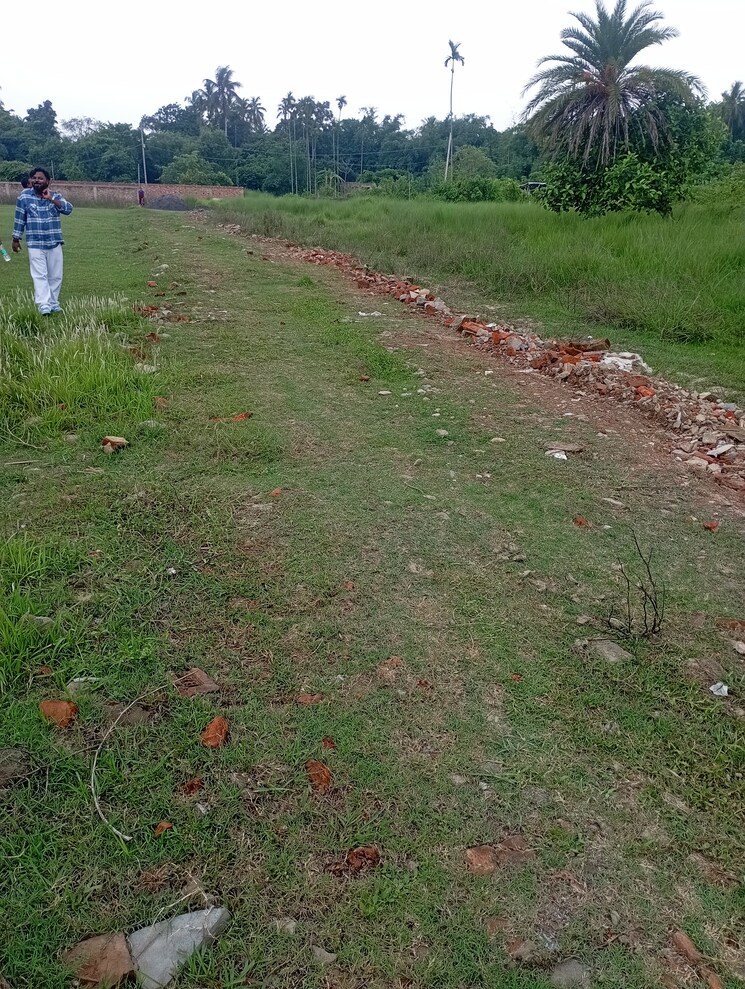 Garden, amtala  1440 Sq.Ft. Plot In Amtala Kolkata 9025445