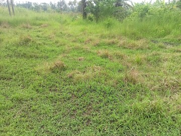 Plot Area in  Plot at Amtala – for Sale