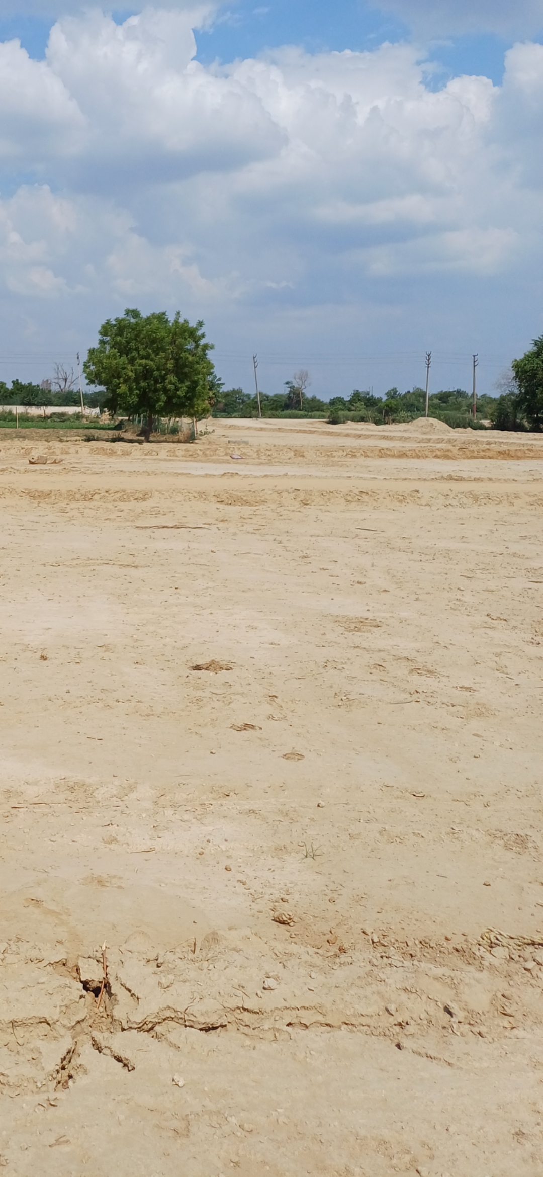 Plot For Sale in Om Associates 