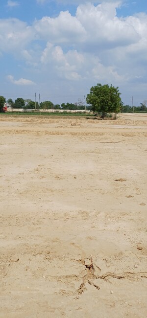  Plot For Sale in Dheeraj Nagar