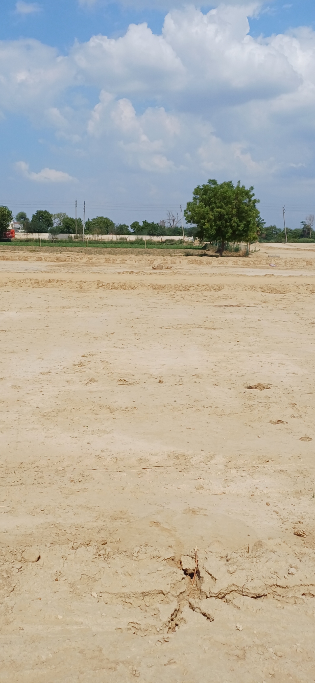 Plot For Sale in Om Associates 