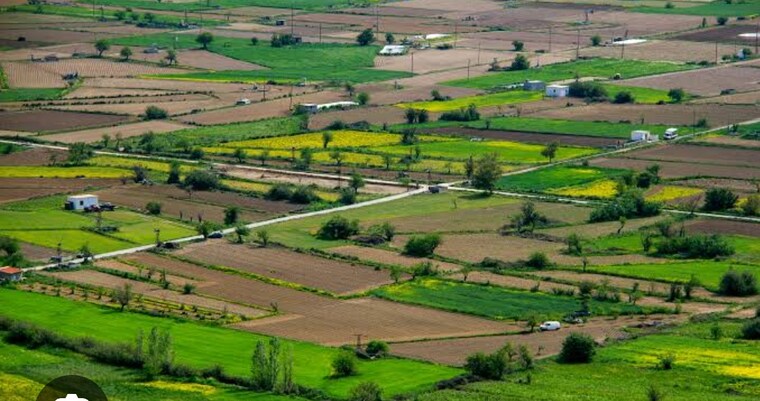 Garden, palam-vihar-residents-association  800 Sq.Yd. Plot In Palam Vihar Gurgaon 9025646