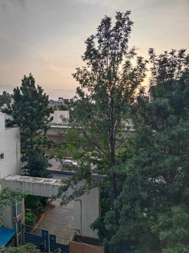 Garden, rose-garden-apartments 3 Bedroom 1490 Sq.Ft. Apartment In Arekere Bangalore 9025758