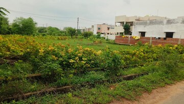  Land – Garden View at Patan Kumhari Road - for Sale