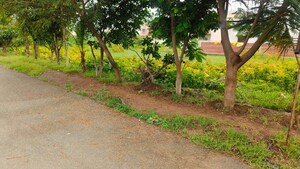  Land – Garden View at Patan Kumhari Road - for Sale