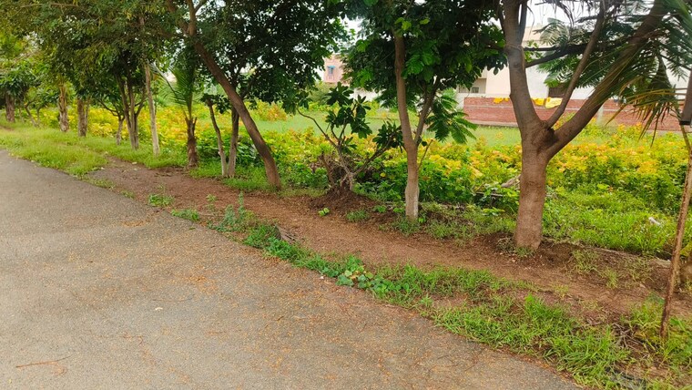 Garden, patan kumhari road Commercial Land 9000 Sq.Ft. In Patan Kumhari Road Raipur 9025902