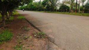 Plot Area in  Land at Patan Kumhari Road – for Sale