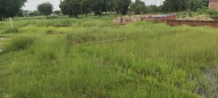 Plot For Sale in Harahua