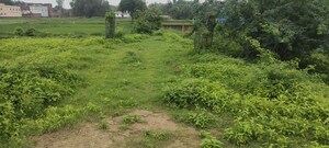 Plot Area in  Plot at Harahua – for Sale