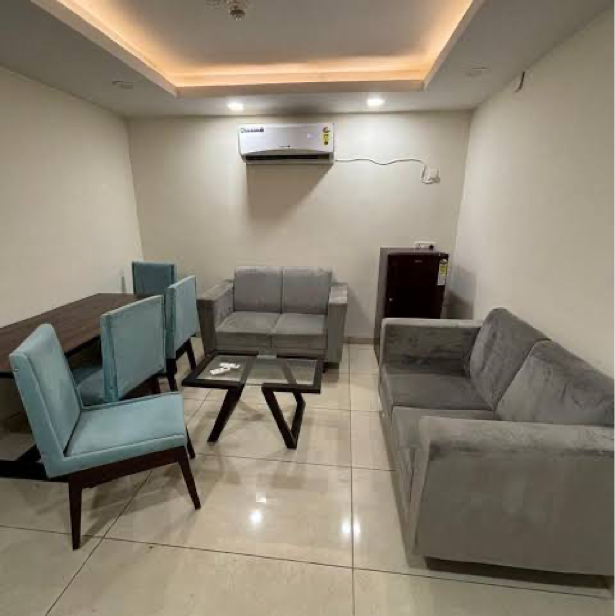 1 BHK Apartment For Rent in Maya Garden Magnessia 
