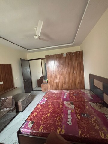 1 BHK Apartment For Rent in Sector 115