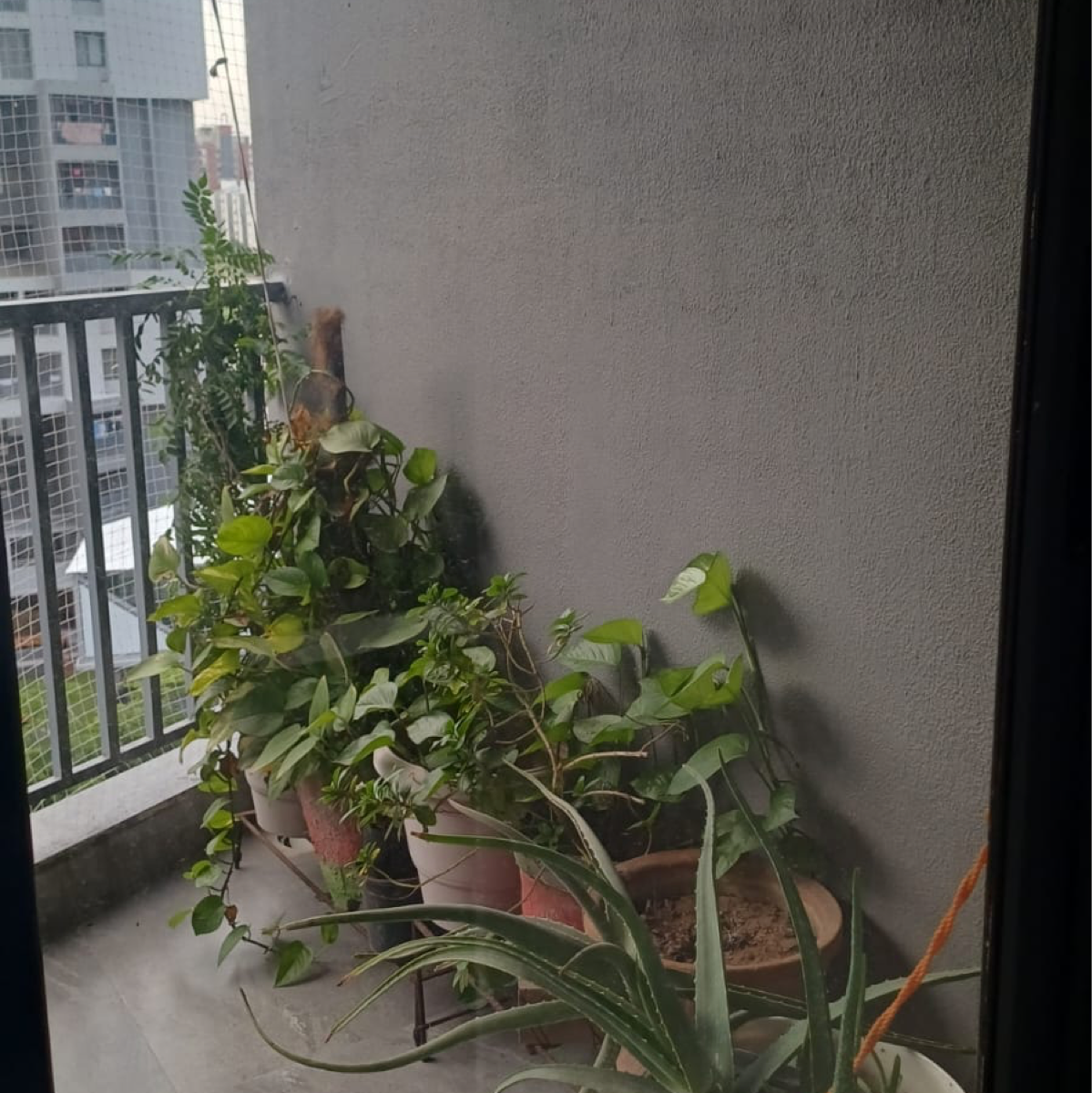 3 BHK + Servant Room 1321 Sq.Ft. Apartment in Kamaxi Heights