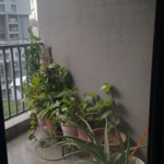 3 BHK + Servant Room 1321 Sq.Ft. Apartment in Kamaxi Heights