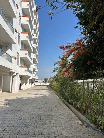 3 BHK Apartment – Exterior View View at JKG Palm Residency, Clement Town - for Sale