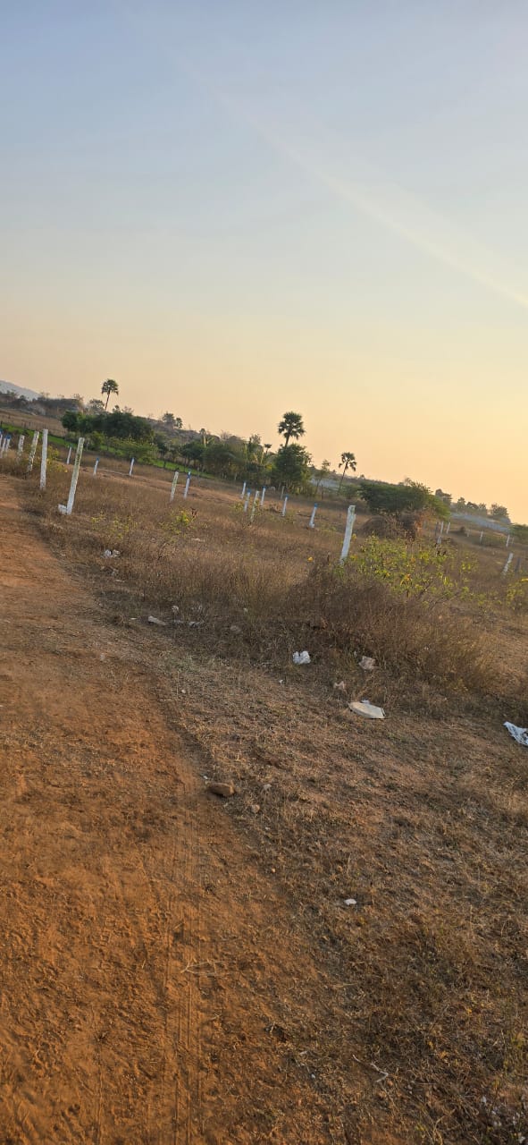 Plot For Sale in Lotus Grand