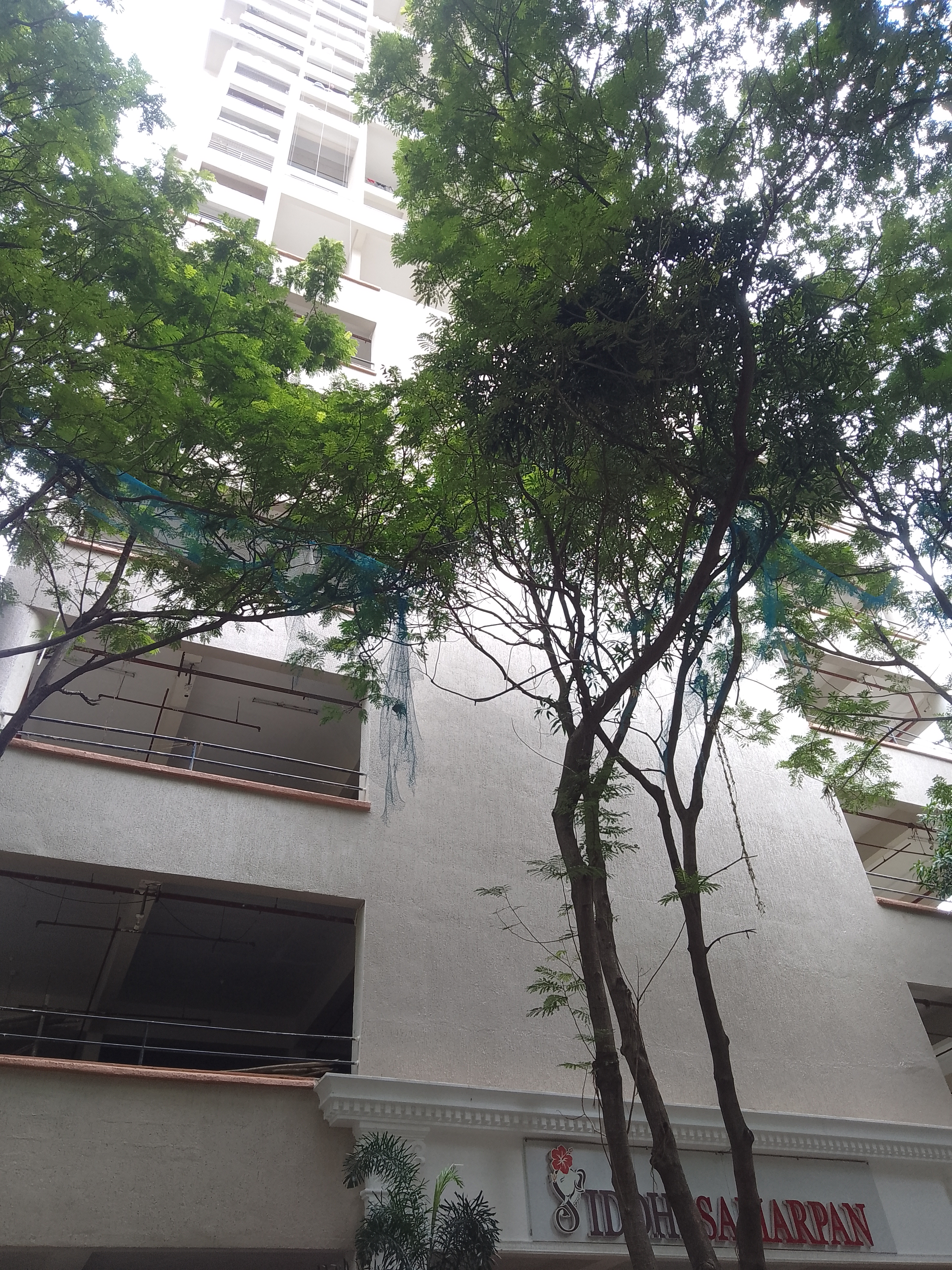 3 BHK Apartment For Rent in Siddhi Samarpan