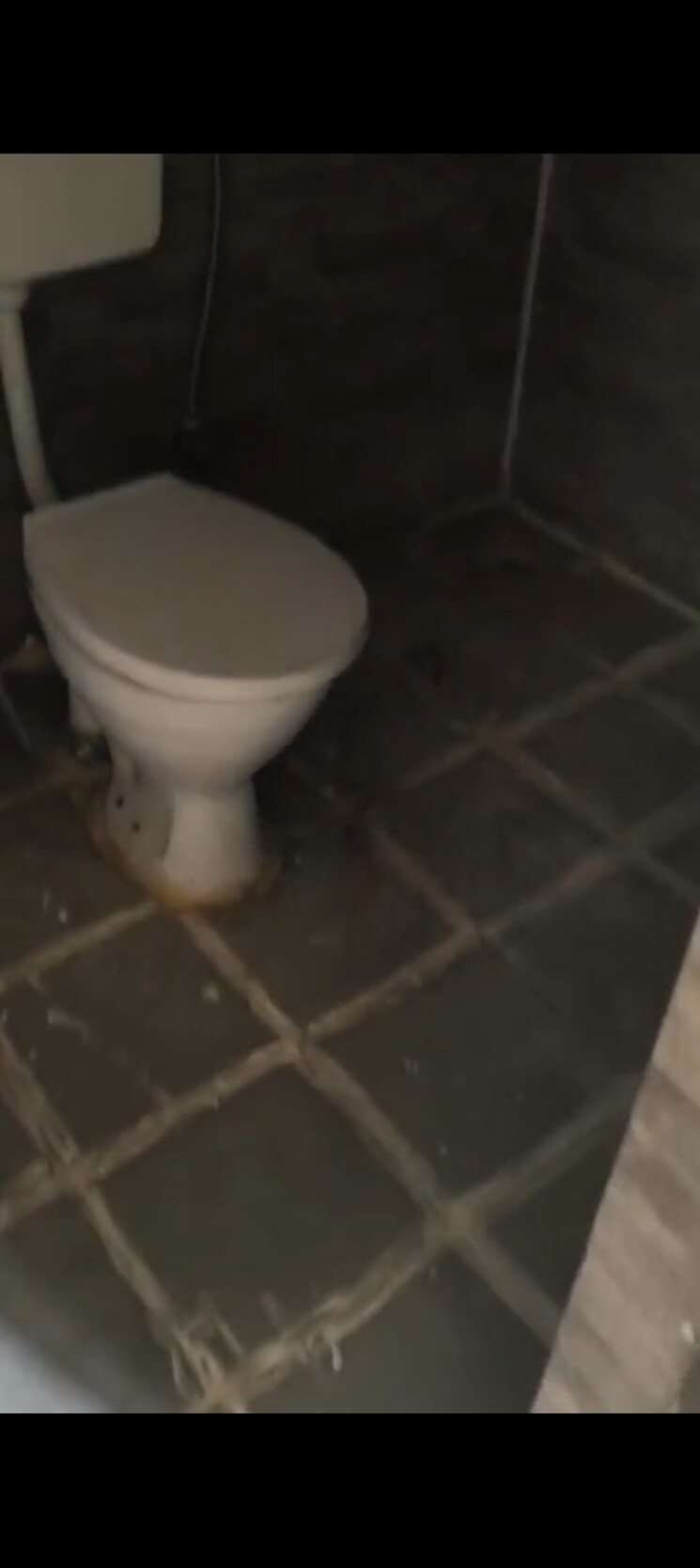 Bathroom, devika-gold-homz 2.5 Bedroom 1100 Sq.Ft. Apartment In Sector 1 Greater Noida Greater Noida 9026511