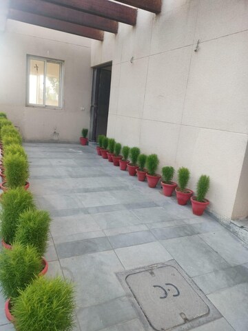 5 BHK Apartment For Sale in BPTP Park Elite Premium, Sector 84