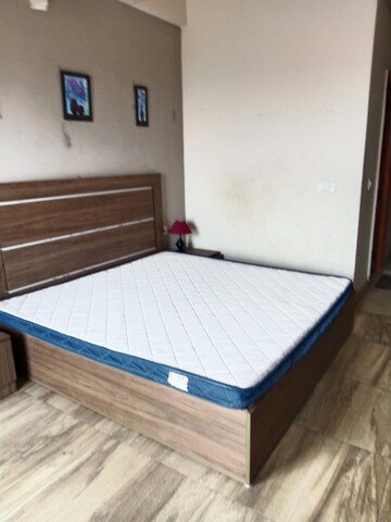1 BHK Apartment For Rent in Paramount Golfforeste, Zeta I Greater Noida