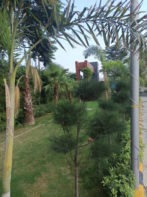  Plot – Garden View at Savfab Jasmine Grove, Delhi Meerut Expressway - for Sale