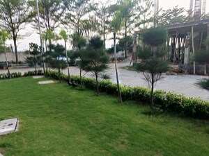 Plot Area in  Plot at Savfab Jasmine Grove, Delhi Meerut Expressway – for Sale