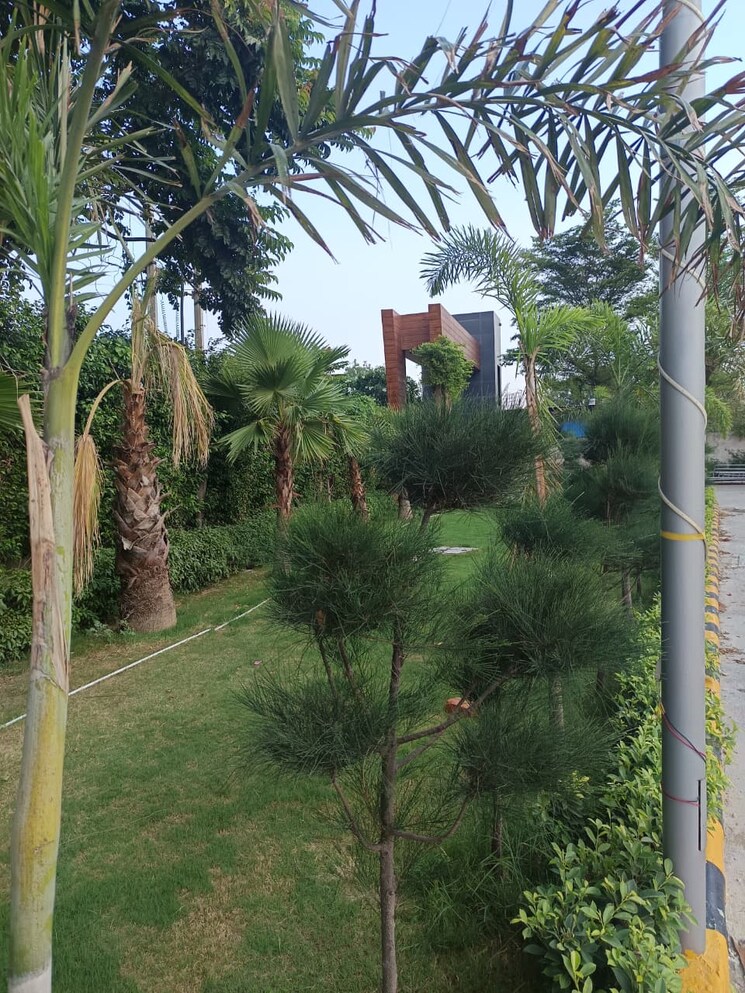 Garden, savfab-jasmine-grove  111 Sq.Yd. Plot In Delhi Meerut Expressway Ghaziabad 9026660