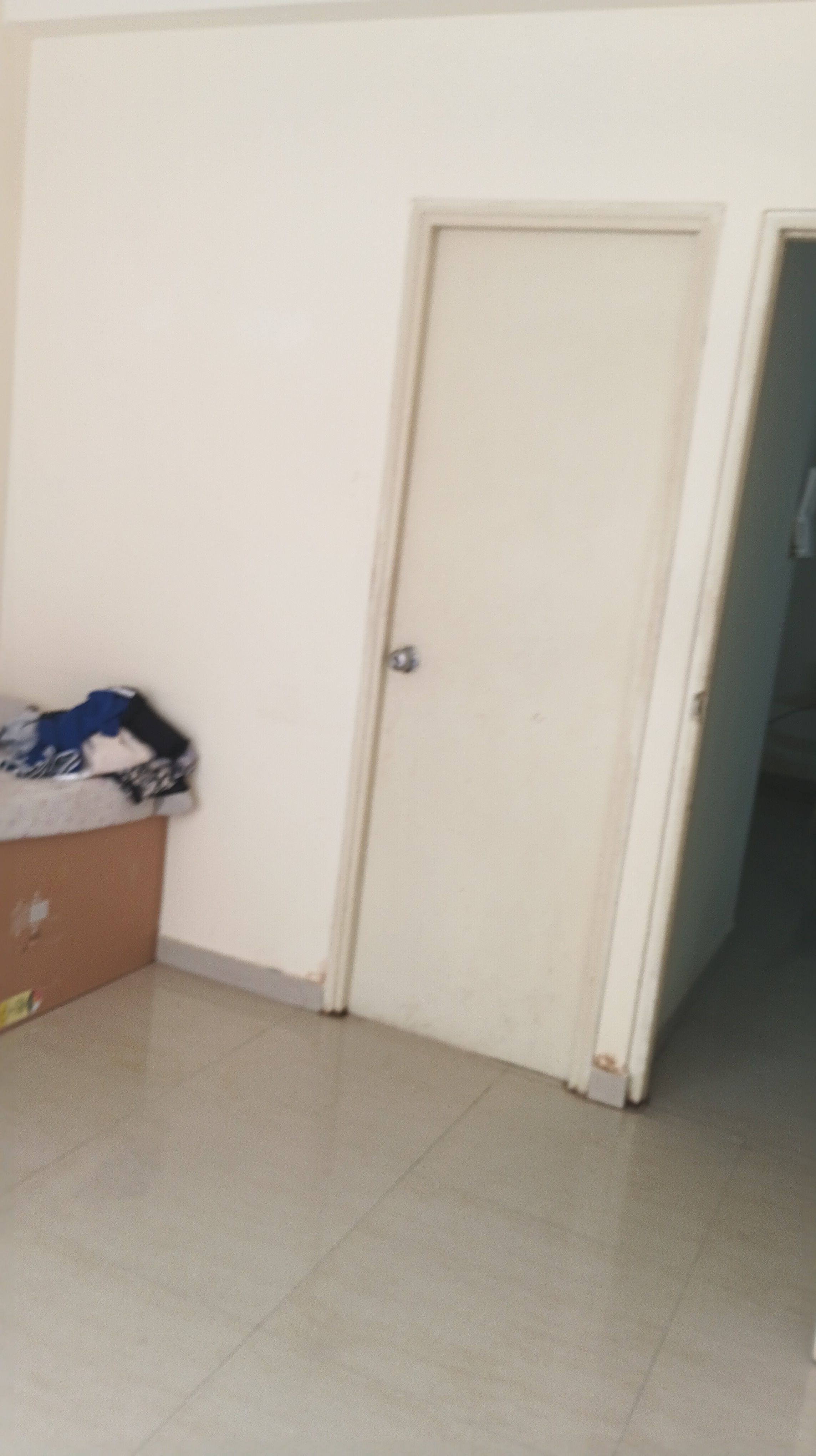 2 BHK Apartment For Rent in Pyramid Heights