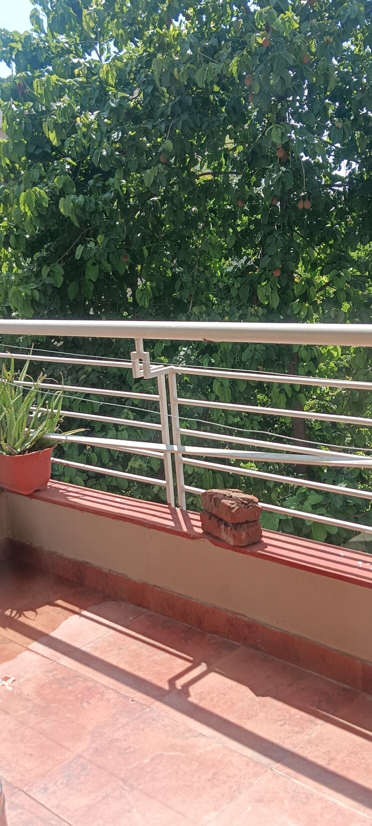 Balcony, shiv-shankar-society 3.5 Bedroom 2300 Sq.Ft. Apartment In Sector 51 Gurgaon 9026840