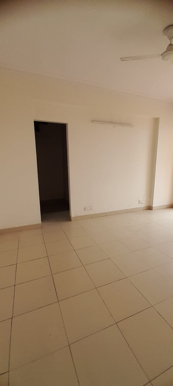 2 BHK Apartment For Rent in Pioneer Park Phase 1