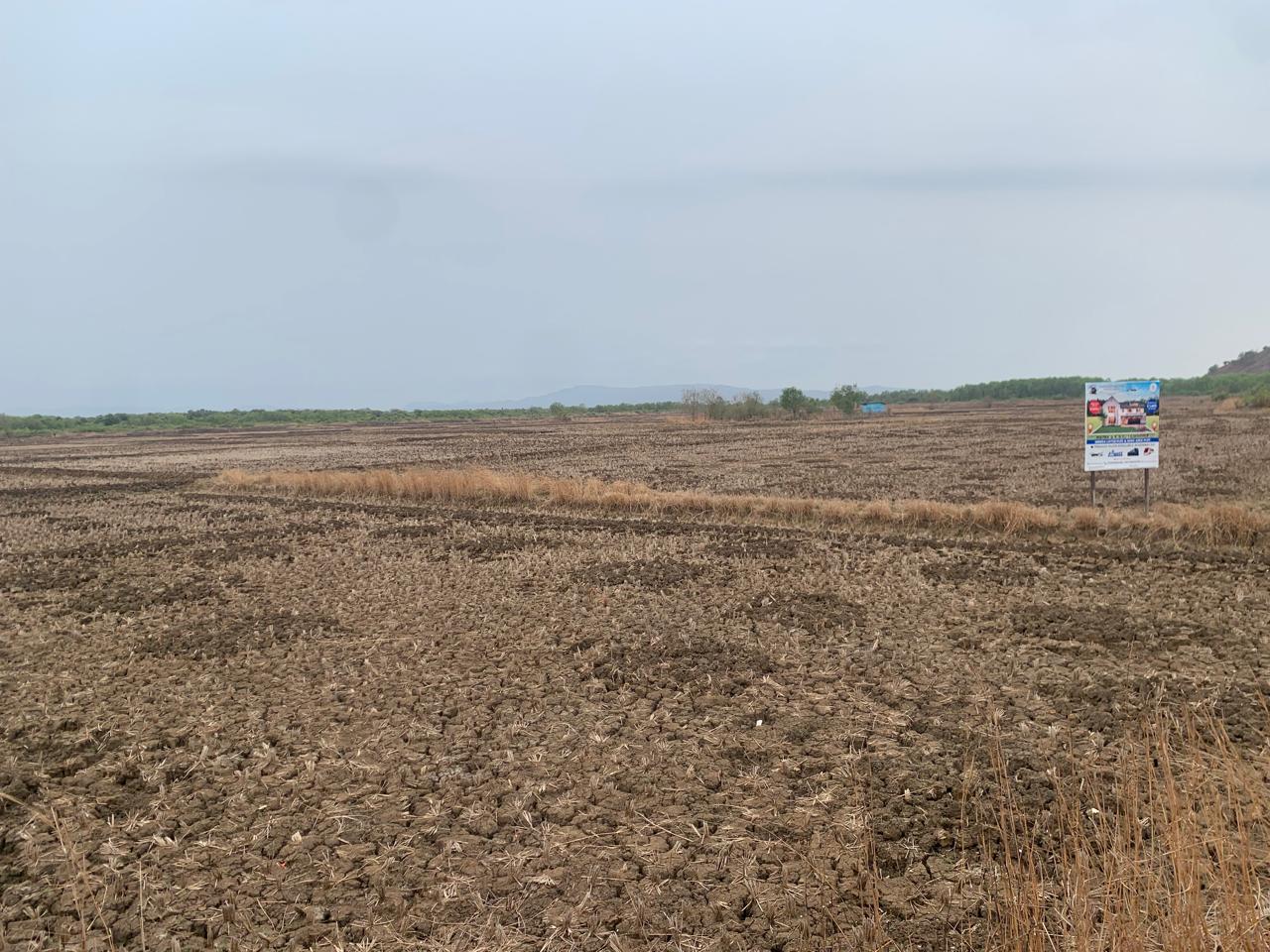 Plot For Sale in Bunglow Plot 