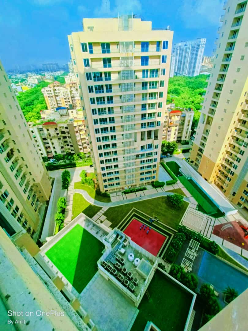 4 BHK + Pooja Room,Servant Room 3284 Sq.Ft. Apartment in Ambience Tiverton