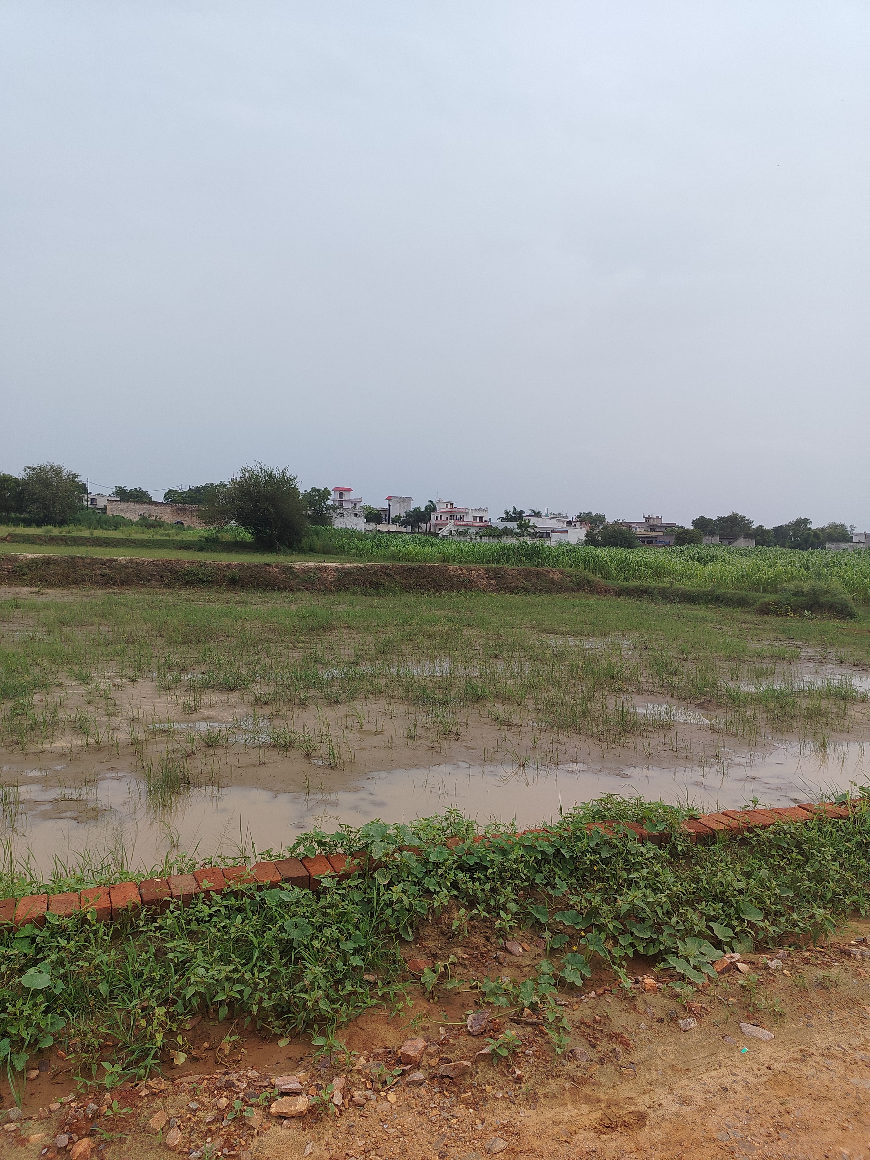 Plot For Sale in Friends Colony Dankaur