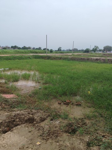 Plot Area in  Plot at Sector 17a Yamuna Expressway – for Sale