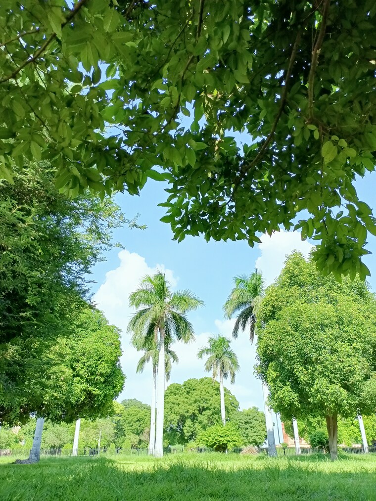 Garden, gaurs-cascades 2 Bedroom 881 Sq.Ft. Apartment In Raj Nagar Extension Ghaziabad 9027196