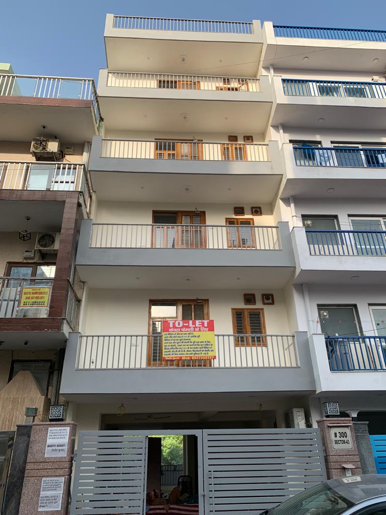 2 BHK Apartment For Rent in Ajnara Homes