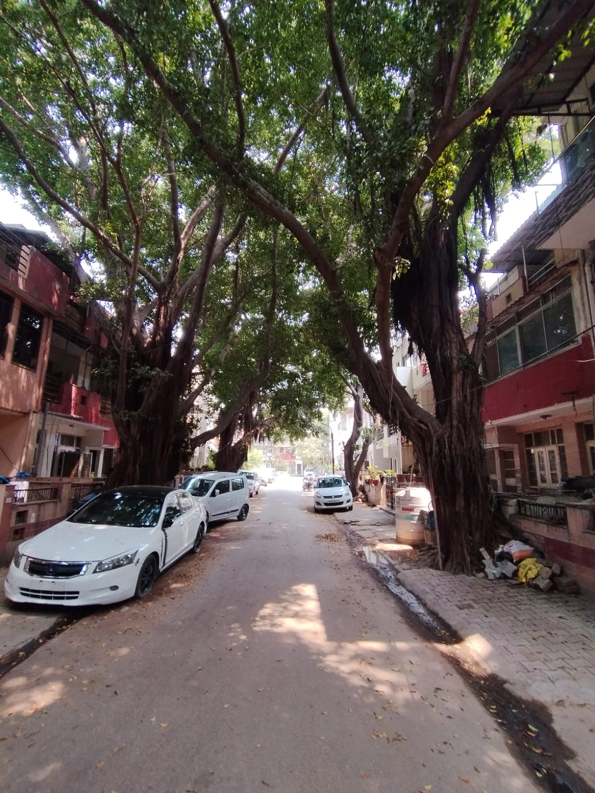 2 BHK Apartment For Rent in Supertech Ecovillage II